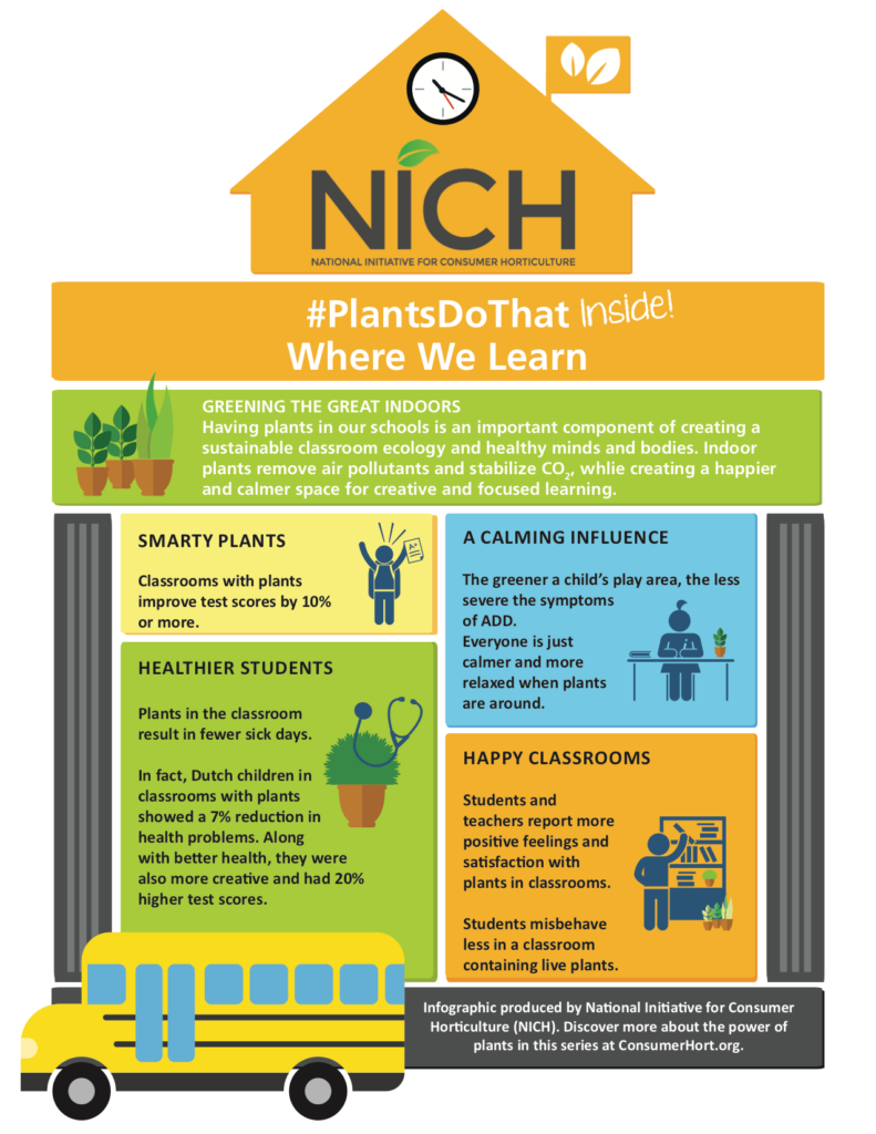 Plants Do Thant - Indoors and Where We Learn